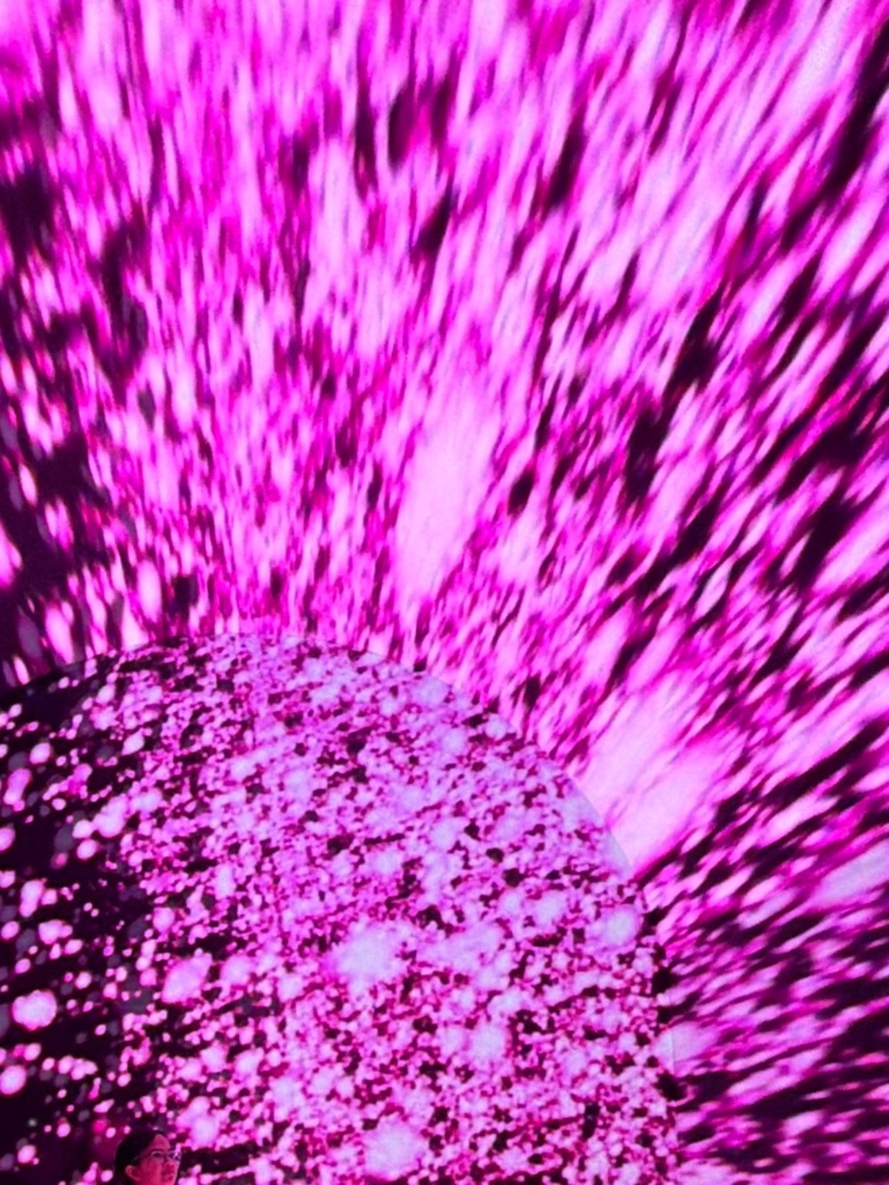 Welcome to my posh closet